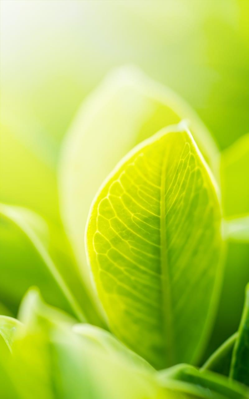 HARRYS ET TERRACYCLE® S'ASSOCIENT POUR RECYCLER VOS EMBALLAGES